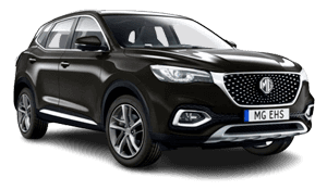 Hybrid cars by the hour