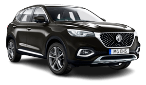 Hybrid cars by the hour