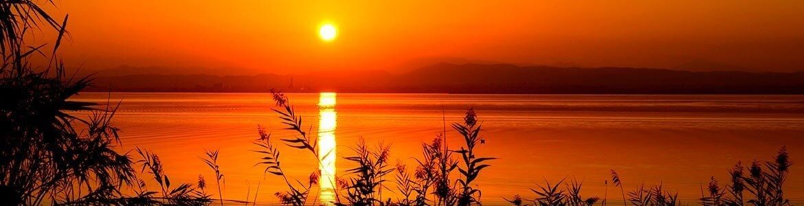 Albufera Valencia Coche de alquiler